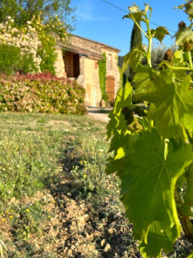 Chateau Du Grand Jas Entrecasteaux Esterno foto